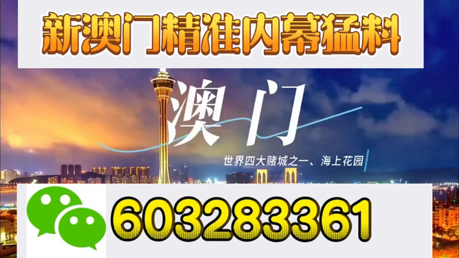 新澳門今晚開獎結果揭曉，探索彩票背后的秘密與期待，新澳門今晚開獎結果揭曉，彩票背后的秘密與期待揭曉之夜