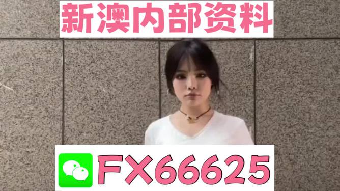 澳門資料大全正版資料查詢，探索澳門的文化與歷史深度之旅，澳門文化與歷史深度探索，正版資料大全及查詢指南