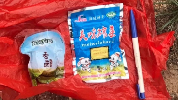 澳門最精準龍門，探索真實的精準之道，澳門最精準龍門，揭秘真實精準之道