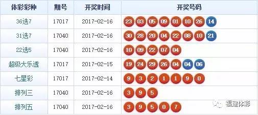揭秘446999一肖中特馬，規(guī)律與策略解析，揭秘446999一肖中特馬規(guī)律與策略解析指南