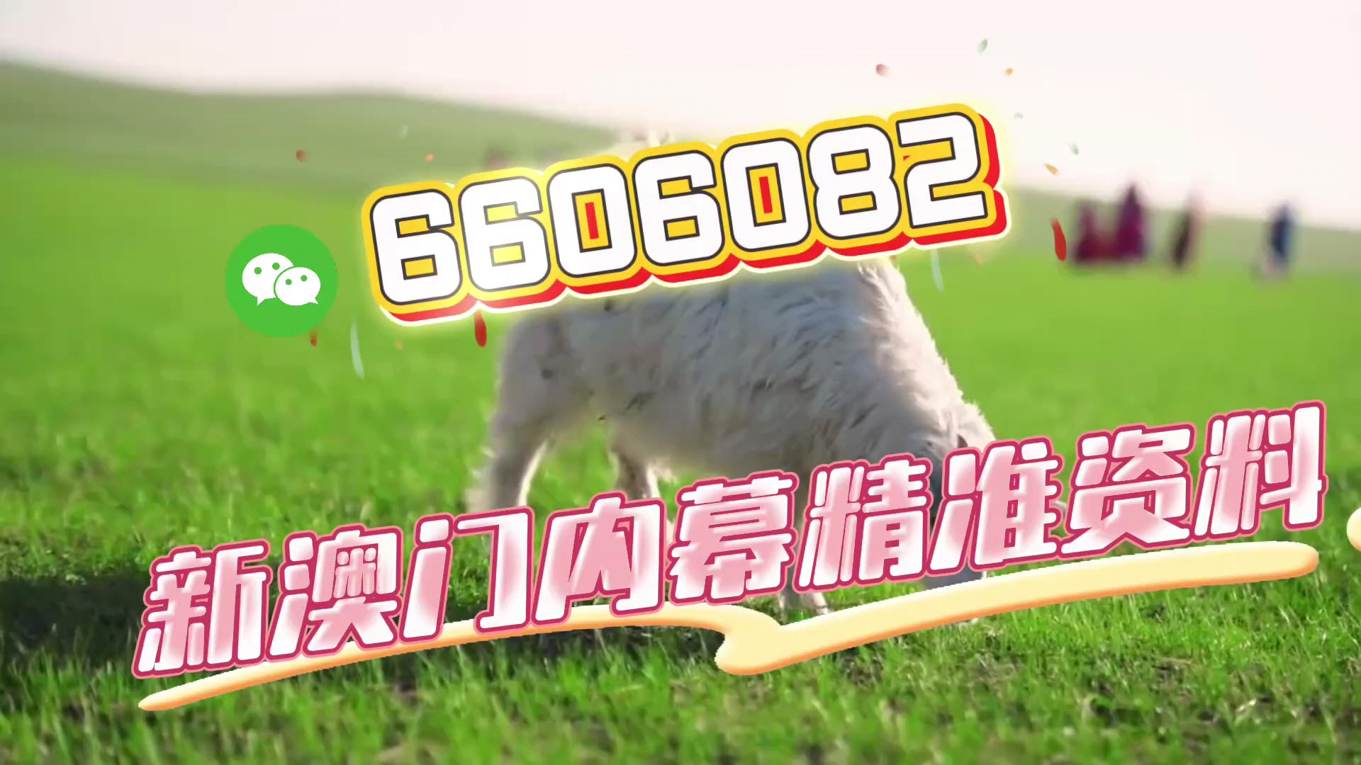 新澳門今晚必開一肖一特——深度解析與預(yù)測，澳門今晚生肖預(yù)測，深度解析與獨家預(yù)測
