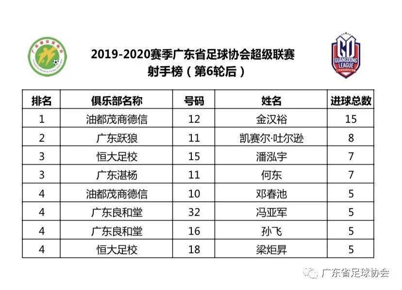 澳門六開獎(jiǎng)結(jié)果2020年回顧與解析，澳門六開獎(jiǎng)結(jié)果回顧與解析，2020年數(shù)據(jù)深度解讀