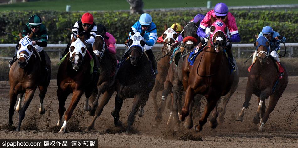王中王內(nèi)部必中一肖——揭秘彩票背后的秘密，揭秘彩票王中王內(nèi)部必中一肖的神秘秘密
