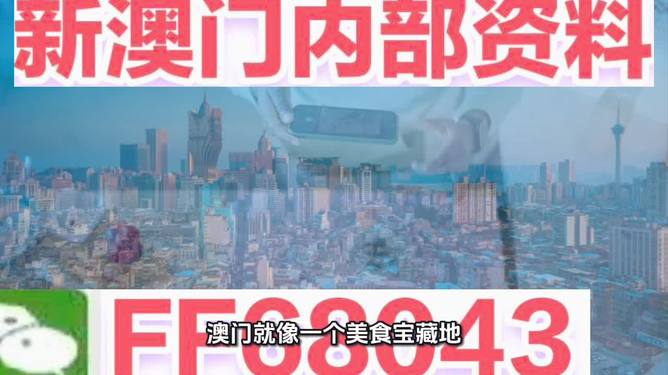 2025新澳精準資料大全，全方位解析與深度探索，2025新澳精準資料大全，全方位解析與深度探索揭秘