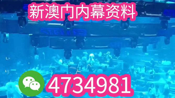 澳門特馬今晚開獎香港，探索彩票背后的文化魅力與未來展望（2025年展望），澳門特馬與香港彩票，文化魅力背后的未來展望（2025年展望）