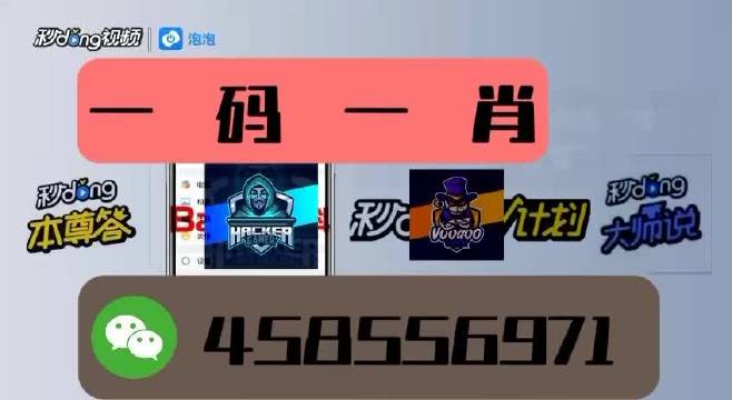 本期一肖一碼王中王，揭秘與探索，揭秘一肖一碼王中王，探索生肖與數(shù)字的神秘聯(lián)系