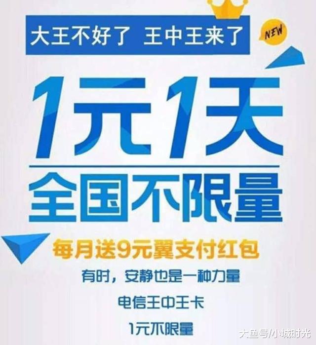 王中王新四不像一肖，揭秘背后的神秘面紗與SEO策略洞察，揭秘王中王新四不像一肖背后的神秘面紗與SEO策略洞察