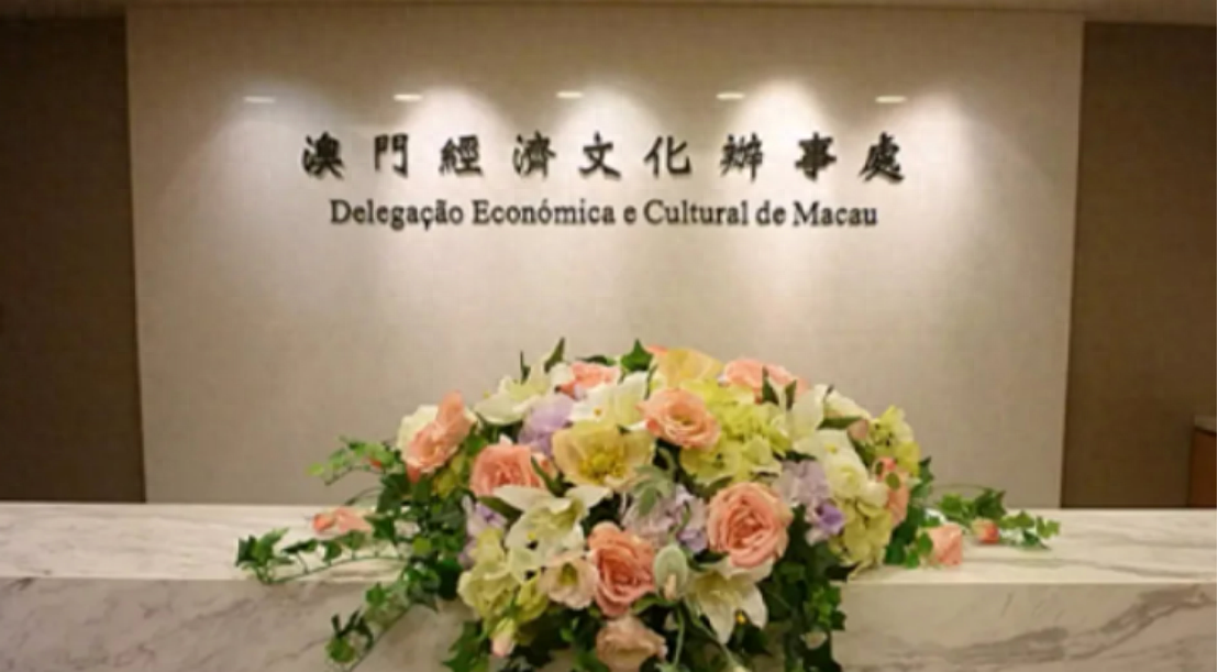新澳門一碼一肖一待一中四不像的奧秘與探索，澳門一碼一肖一待一中四不像奧秘揭秘與探索