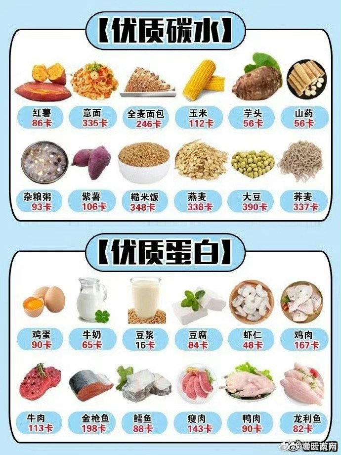 各種食物熱量表大全，健康飲食的必備指南，食物熱量表全面解析，健康飲食的必備指南