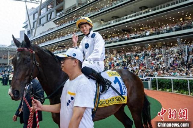 香港特馬王資料免費(fèi)公開，深度解析與探索，香港特馬王資料深度解析與探索，免費(fèi)公開揭秘
