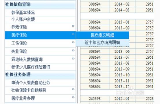 2025新澳門歷史記錄查詢完全指南，澳門歷史記錄查詢完全指南（2025版）