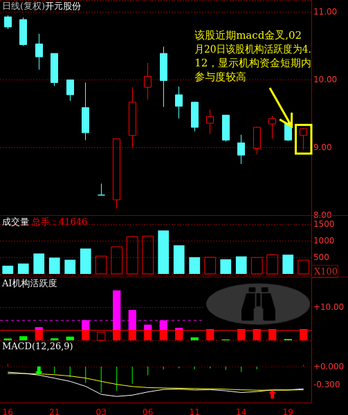 關(guān)于股票300338的全方位解析，股票300338全方位深度解析