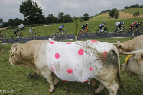 王中王四不像特一肖，神秘文化符號解讀與SEO洞察，王中王四不像特一肖，神秘文化符號解讀與SEO洞察揭秘