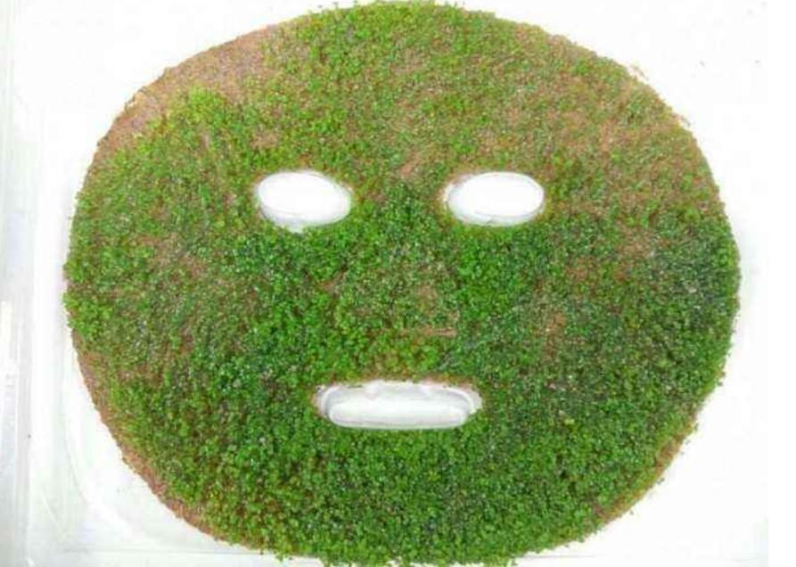 海藻面膜可以天天敷嗎？——深度解析海藻面膜的使用頻率與注意事項(xiàng)，海藻面膜的使用頻率與注意事項(xiàng)解析，能否天天敷海藻面膜？
