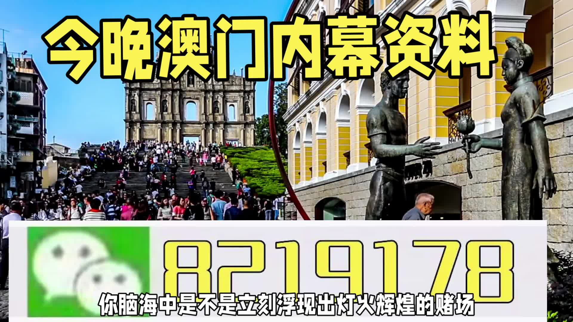 新澳門一肖一特一中，探索與解讀，新澳門一肖一特一中，深度探索與解讀