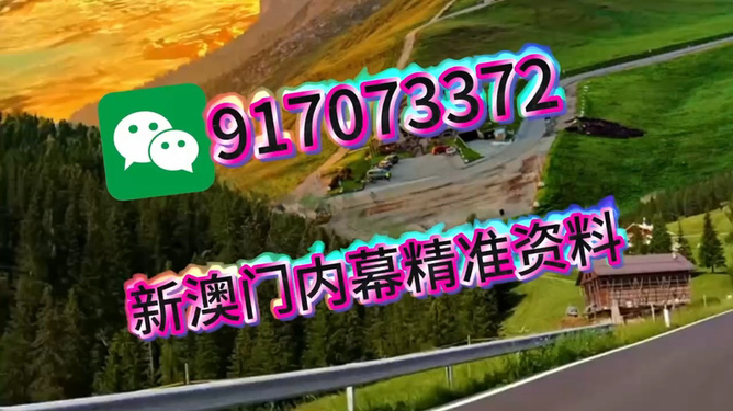 王中王一肖一中特，深度解析與SEO優(yōu)化策略，王中王一肖一中特深度解析與SEO優(yōu)化策略探討