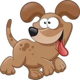 一肖有哪幾個(gè)生肖