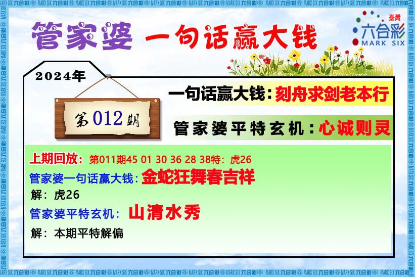 管家婆王中王平特一肖，揭秘背后的故事與神秘面紗，揭秘管家婆王中王平特一肖背后的故事與神秘面紗