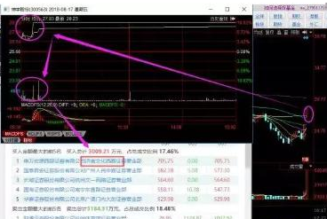 探索300563股吧的獨(dú)特魅力與機(jī)遇，揭秘300563股吧，獨(dú)特魅力與無限機(jī)遇