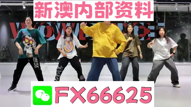 新澳一碼資料，深度解析與SEO優(yōu)化策略，新澳一碼資料深度解析與SEO優(yōu)化策略全攻略