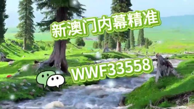 首選王中王打一生肖——揭秘生肖之王的獨特魅力，揭秘生肖之王獨特魅力，王中王所指生肖揭曉