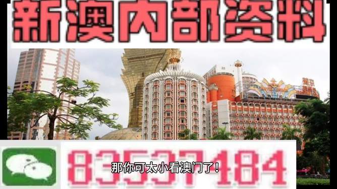 新澳新澳門正版資料，探索與解析，新澳新澳門正版資料深度解析與探索