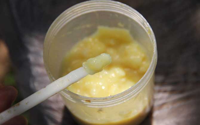 蜂王漿，功效、作用及食用方法詳解，蜂王漿，功效、作用及食用方法全面解析
