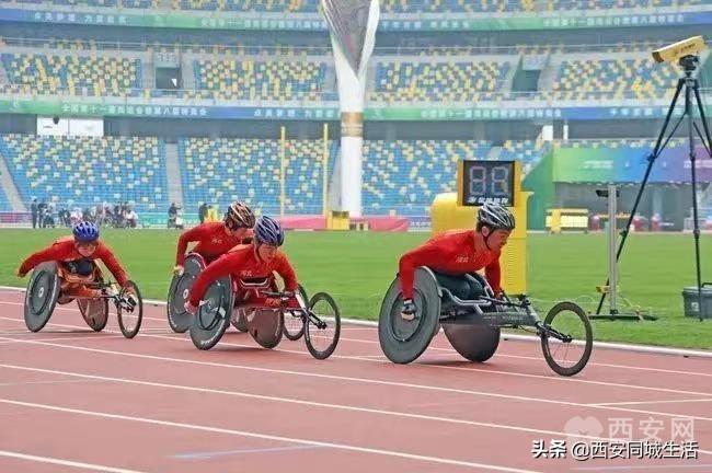 探索澳門未來(lái)，2025新澳門正版免費(fèi)資本車展望，澳門未來(lái)展望，2025資本車正版免費(fèi)探索之旅