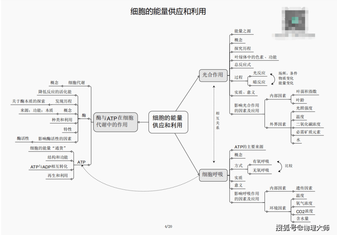 今期三肖必劉伯溫一肖，揭秘預(yù)測背后的故事與智慧，揭秘劉伯溫預(yù)測背后的故事與智慧，今期三肖鎖定一肖之選