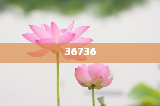 揭秘7777788888精準(zhǔn)新傳真，真相大揭秘，揭秘精準(zhǔn)新傳真背后的真相，77777與88888的神秘面紗被揭開
