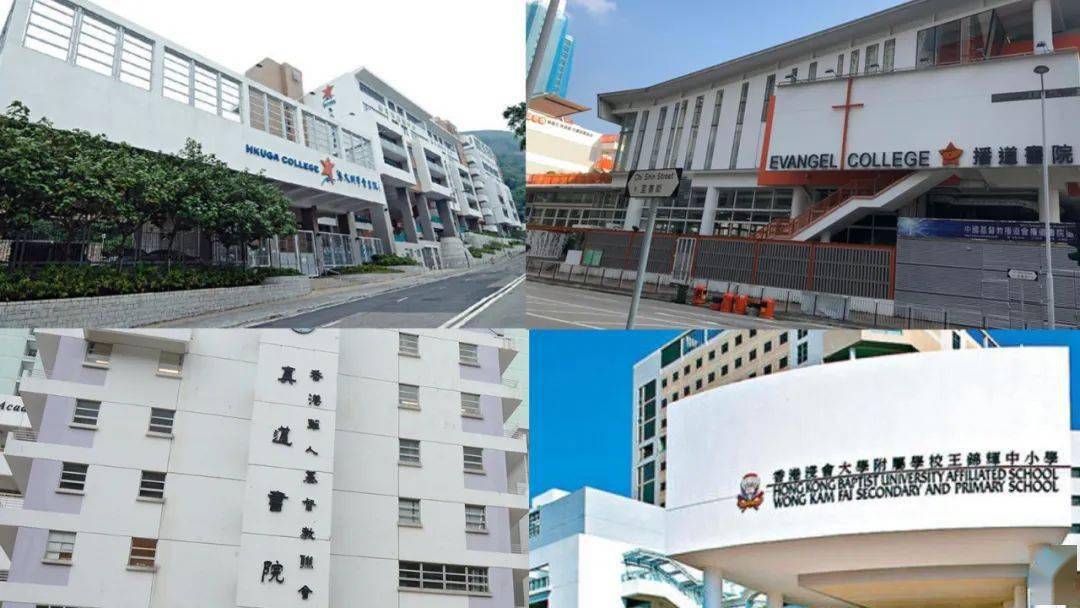 香港免費公開資料大全，探索無盡的資源寶庫，香港免費公開資料寶庫，無盡資源探索之旅
