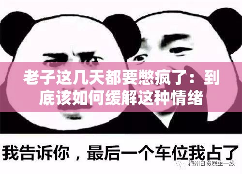 老子這幾天都要憋瘋了——探索心理壓力的釋放與生活的平衡，心理壓力釋放與生活平衡之道，探尋釋放壓力，恢復內(nèi)心寧靜之道