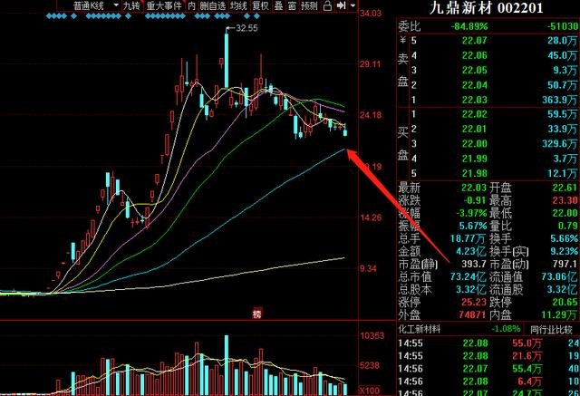 股票002201，深度解析與前景展望，股票002201深度解析與未來前景展望