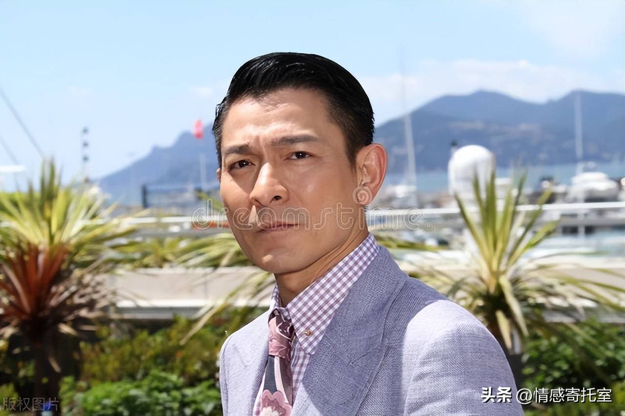 香港一碼一肖王中王，揭秘背后的秘密與真相，揭秘香港一碼一肖王中王的秘密與真相