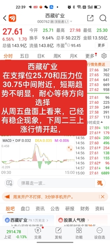 西藏礦業(yè)股票股吧，投資潛力與前景展望，西藏礦業(yè)股票投資潛力與前景展望，股吧熱議的焦點(diǎn)
