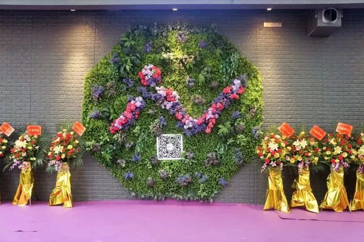 佛山減肥訓(xùn)練營哪里有，專業(yè)指導(dǎo)，塑造健康新生活，佛山減肥訓(xùn)練營，專業(yè)指導(dǎo)，塑造健康新生活