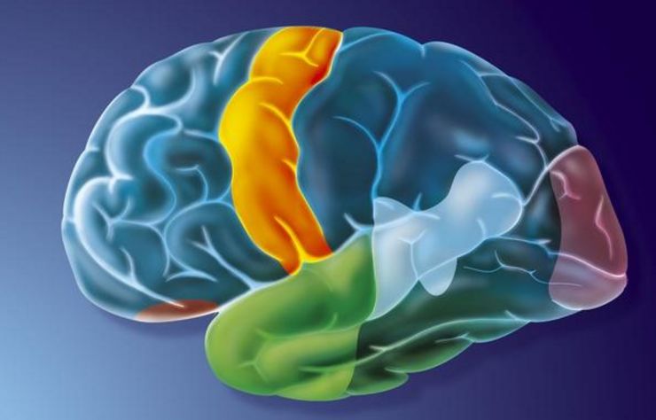 腦神經(jīng)衰弱最好的治療方法，全面解析與個性化護理方案，腦神經(jīng)衰弱最佳治療法，全面解析與個性化護理策略