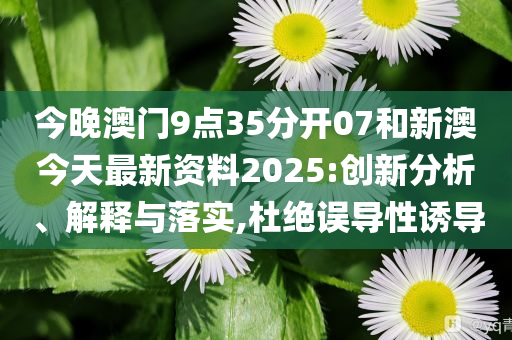 新澳今天最新資料，深度解讀與探索，新澳今日深度解讀與探索最新資料
