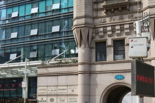 武漢協(xié)和醫(yī)院，卓越醫(yī)療的典范，武漢協(xié)和醫(yī)院，卓越醫(yī)療典范，健康守護(hù)先鋒