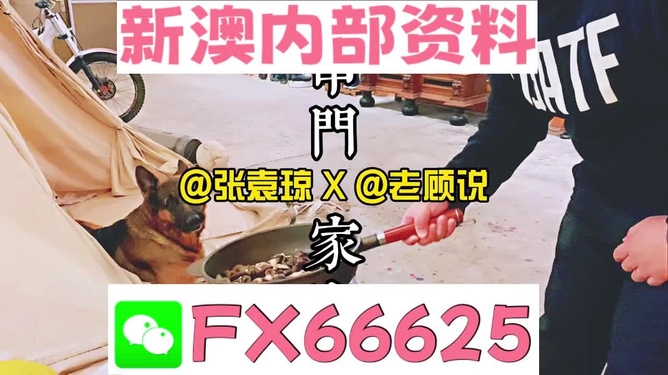 澳門管家婆資料正版大全——全面解析與深度探索，澳門管家婆資料正版大全，全面解析與深度探索指南