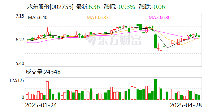 永東股份，引領(lǐng)行業(yè)前沿，塑造卓越未來(lái)，永東股份，引領(lǐng)行業(yè)先鋒，塑造卓越未來(lái)之路