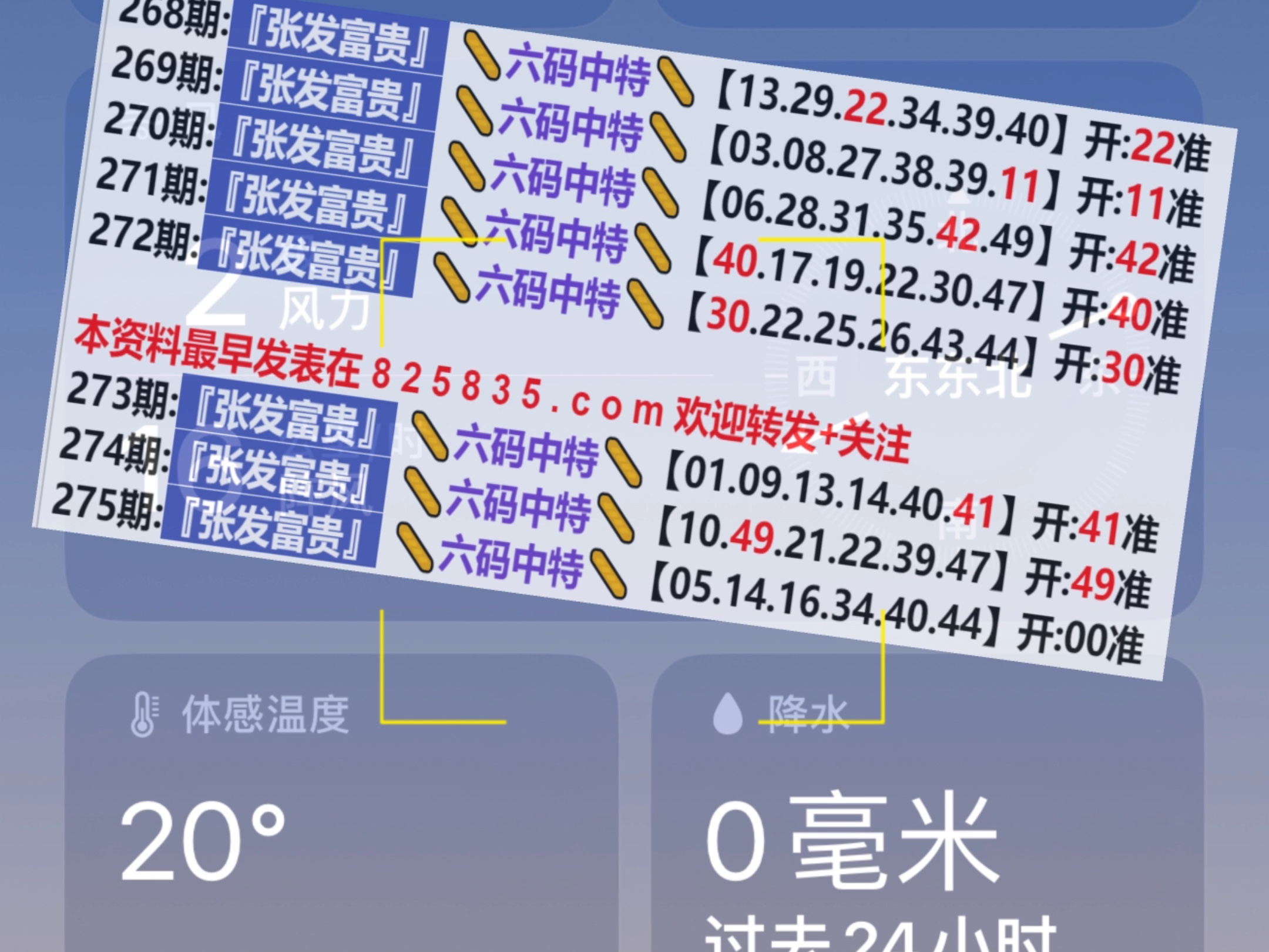 未來趨勢與機遇探索