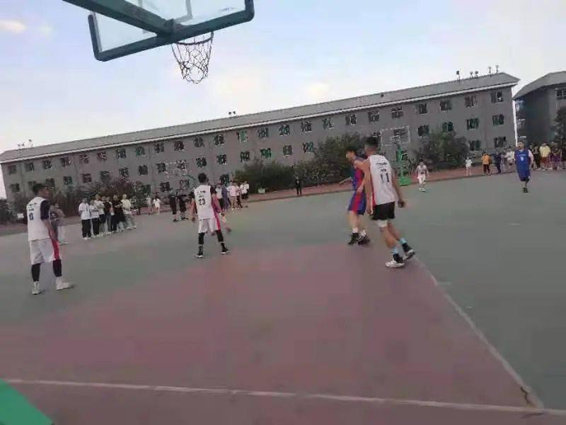 澳門二四六天下彩天天免費(fèi)大全——全面解析澳門彩票文化，澳門彩票文化全面解析，二四六天下彩免費(fèi)大全