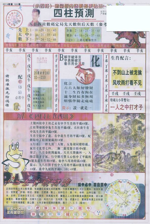 王中王看圖找一肖79期，揭秘生肖奧秘與獨特魅力，揭秘生肖奧秘與獨特魅力，王中王看圖找一肖79期探索之旅