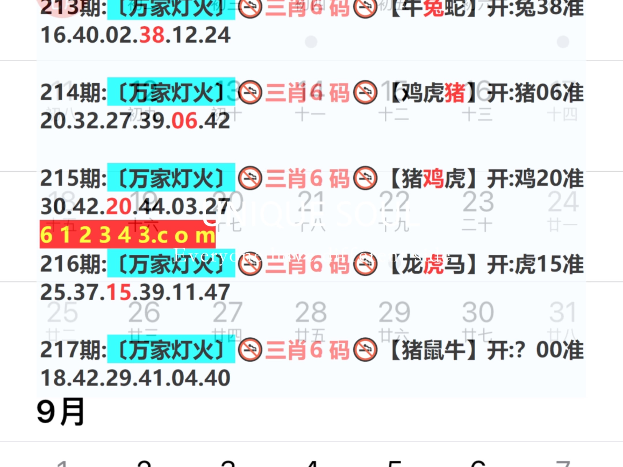 新澳門期期免費資料——探索澳門博彩文化的深度與廣度，澳門博彩文化深度與廣度探索，新澳門期期免費資料揭秘