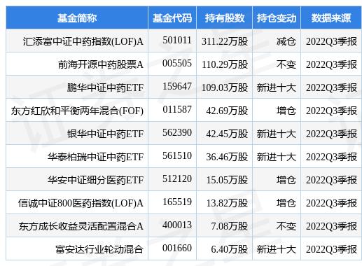 匯添富均衡增長基金凈值，解析與洞察，匯添富均衡增長基金凈值深度解析與洞察