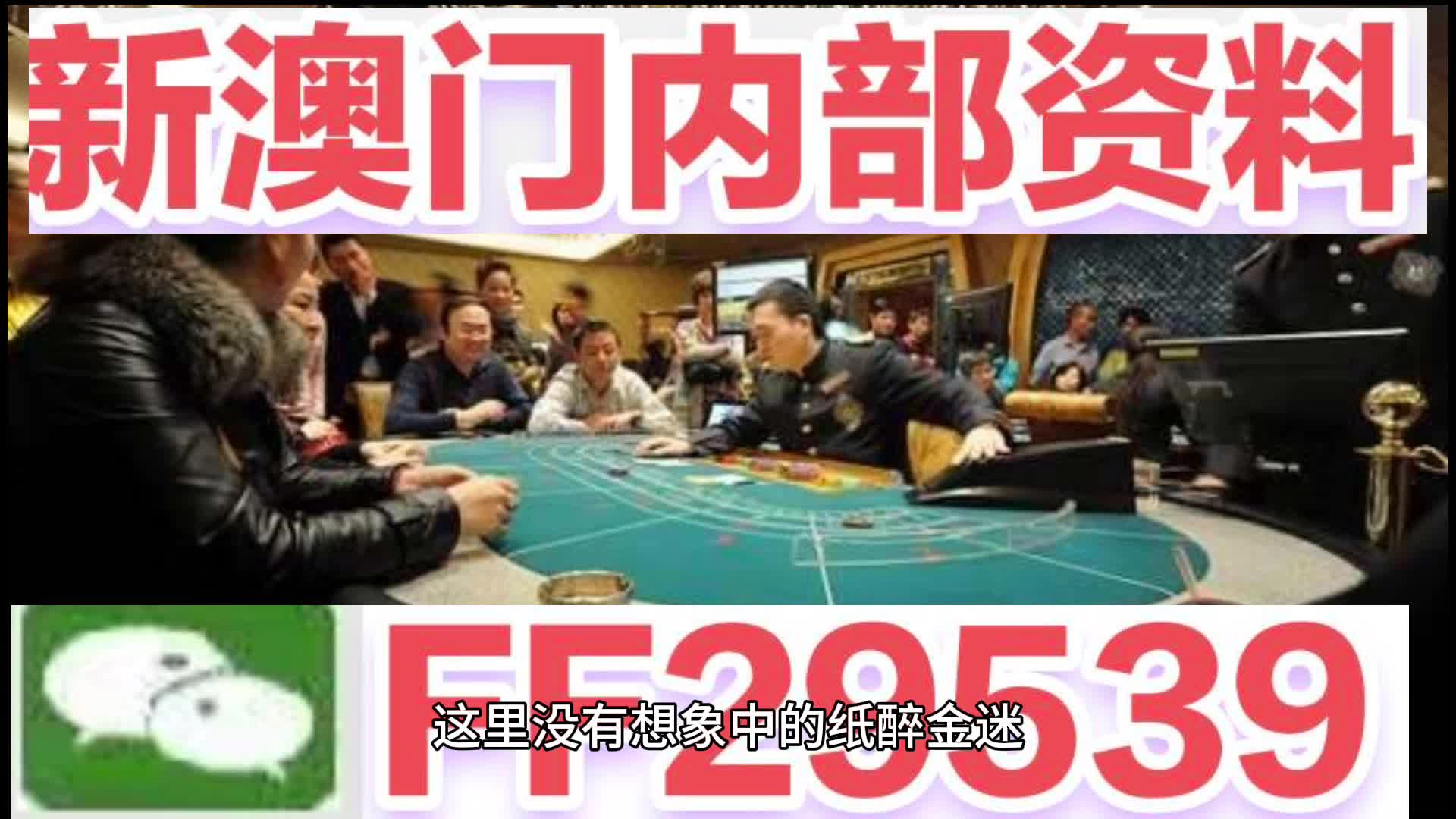 澳門特馬今晚開獎(jiǎng)香港——探索彩票背后的故事與未來(lái)展望，澳門特馬與香港彩票，背后的故事及未來(lái)展望