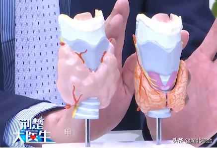 甲減的癥狀，深入了解甲狀腺功能減低的常見(jiàn)表現(xiàn)，深入了解甲狀腺功能減退的癥狀表現(xiàn)，甲減的征兆與常見(jiàn)表現(xiàn)
