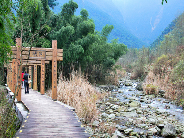上海郊區(qū)旅游自駕景點推薦——探索郊野之美，上海郊區(qū)自駕游景點探索，郊野之美的秘境之旅