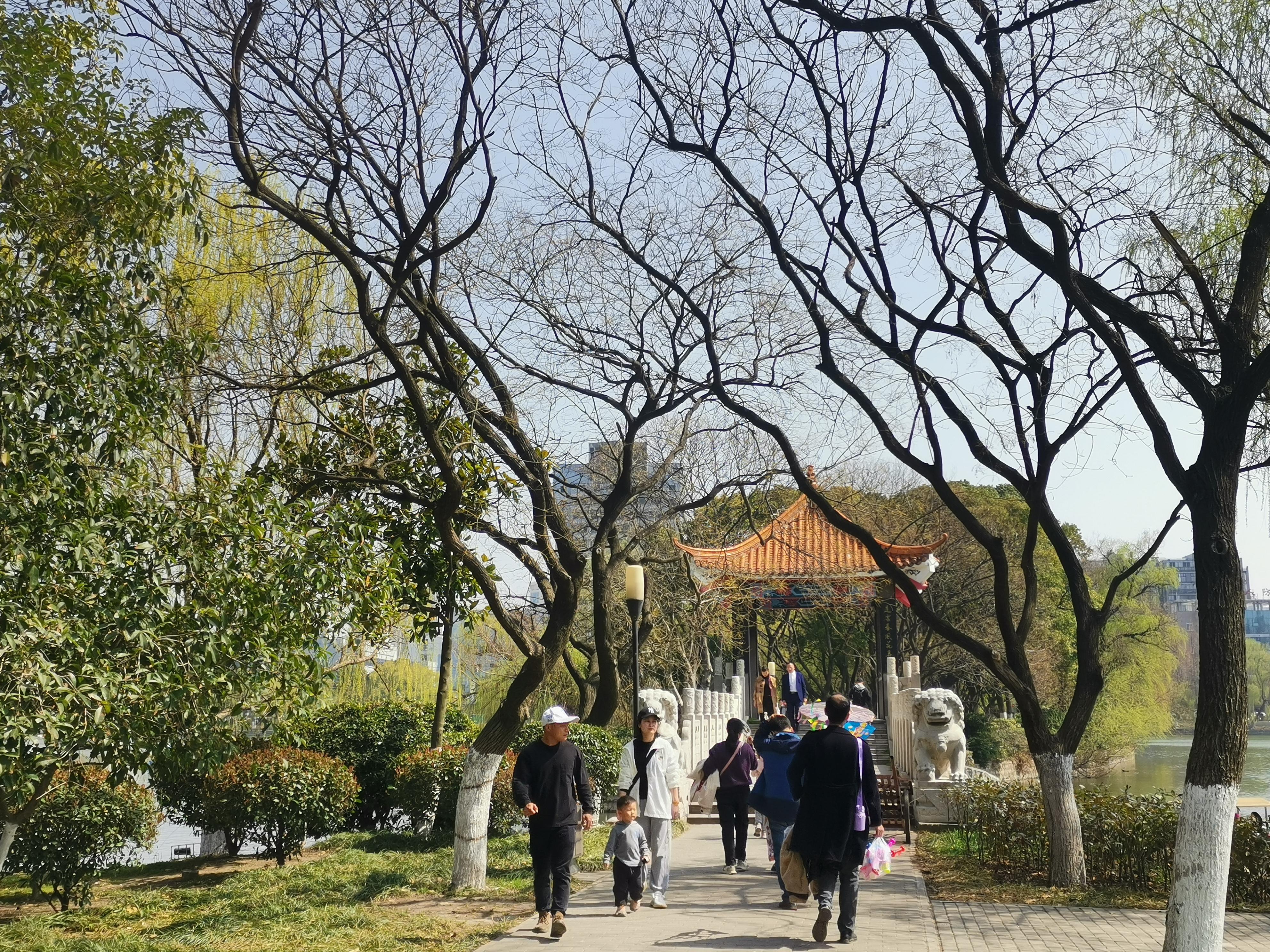 澳門75期最快天天開獎，揭秘彩票背后的秘密與策略，澳門75期天天開獎揭秘，彩票背后的秘密與策略探究
